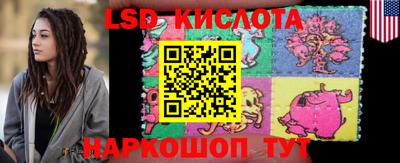 стаф Новодвинск
