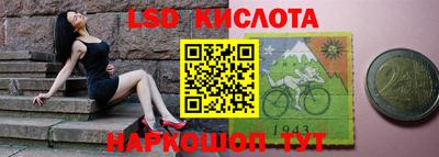 стаф Новокубанск