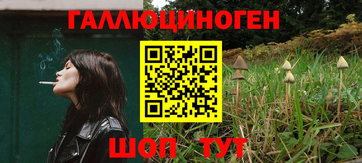 Галлюциногенные грибы мицелий Сунжа