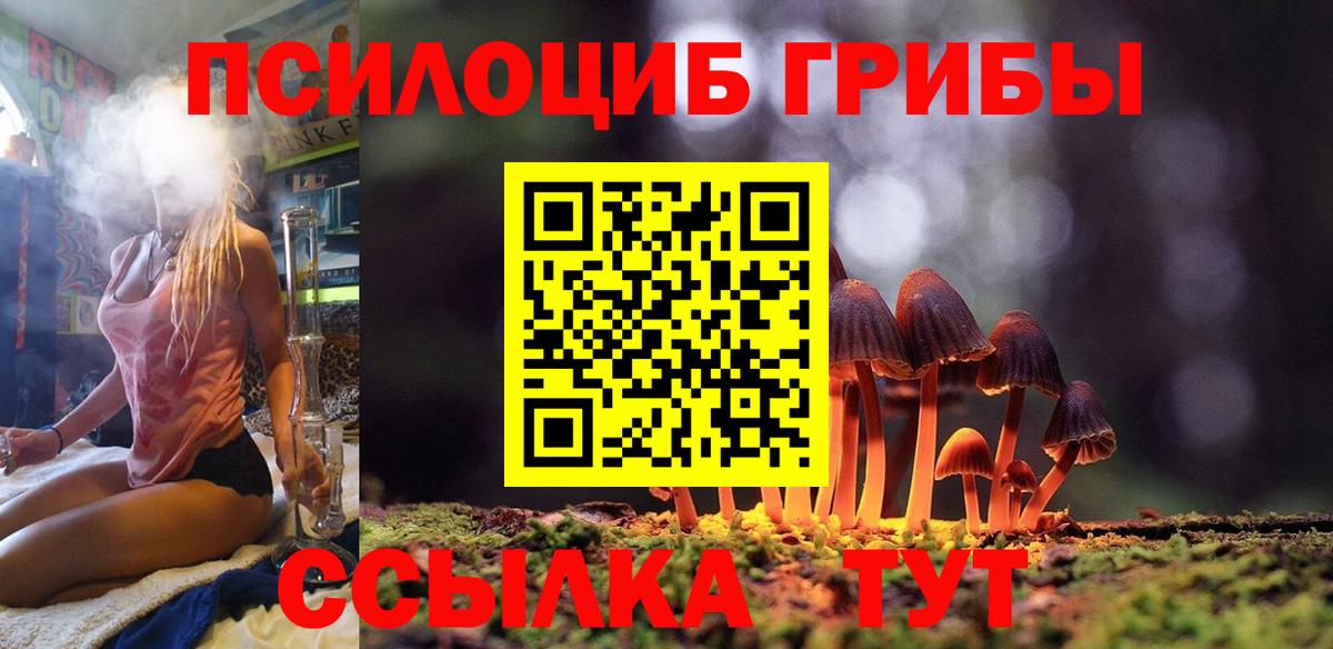 Сунжа  Галлюциногенные грибы MAGIC MUSHROOMS  Псилоцибиновые грибы Psilocybe  Вход с VPN 